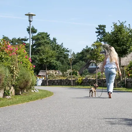 Feriehus Seeadler 42 *