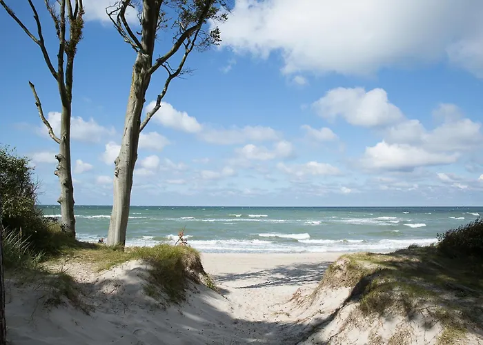 Дом отдыха Seeadler 42