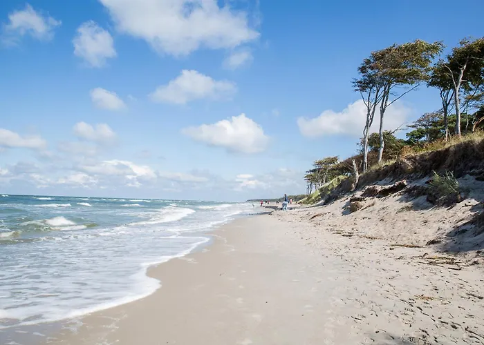 Seeadler 42 Дом отдыха Fuhlendorf (Mecklenburg-Vorpommern)