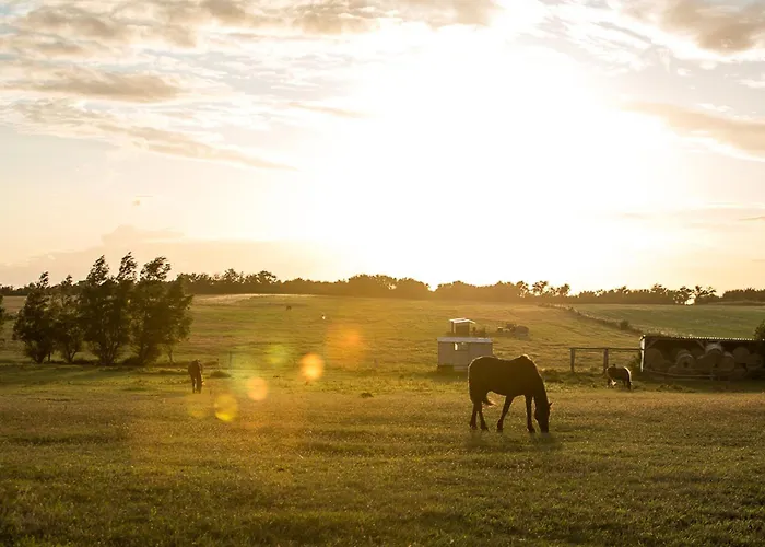 Seeadler 42 * Fuhlendorf (Mecklenburg-Vorpommern)