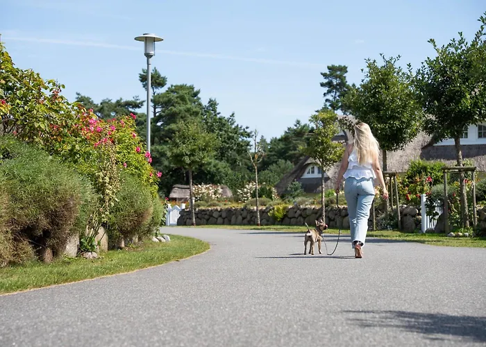 Дом отдыха Seeadler 42 *